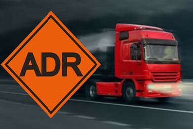 DVSA and TCO queries